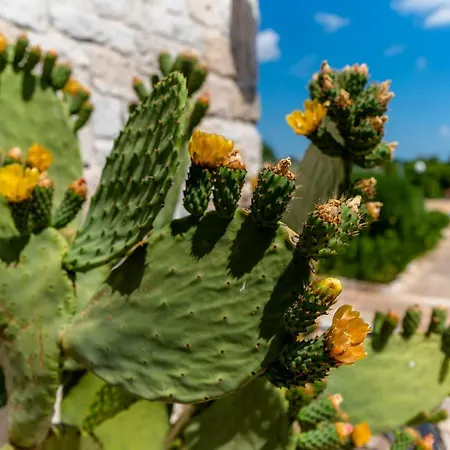 Wepuglia - Trullo Rampone * Martina Franca
